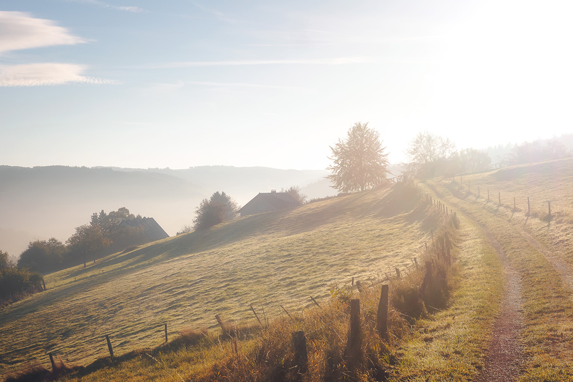 Herbstlicher Sonnenaufgang über einem Feldweg