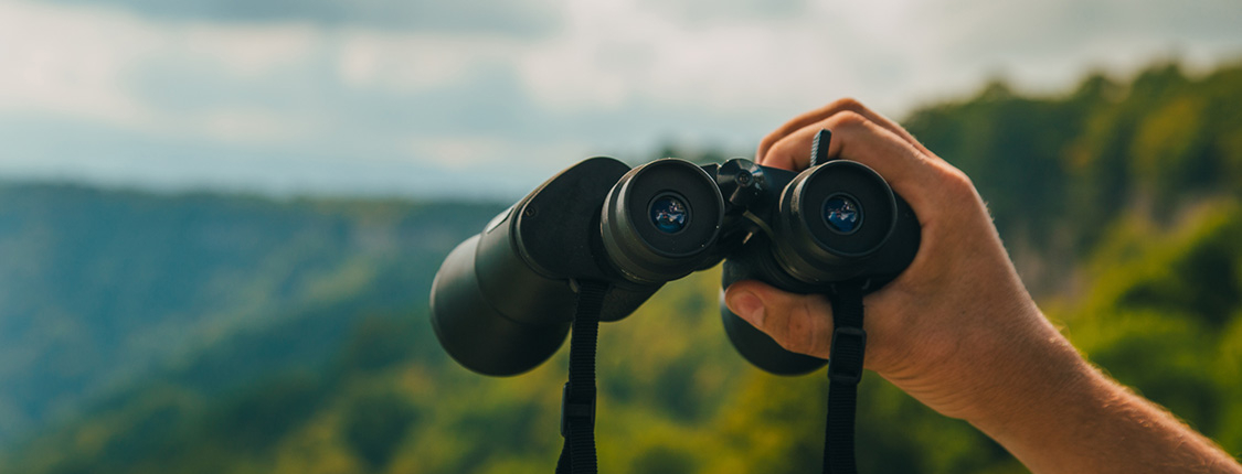 Hand eines Mannes hält ein Fernglas, Hintergrund Natur