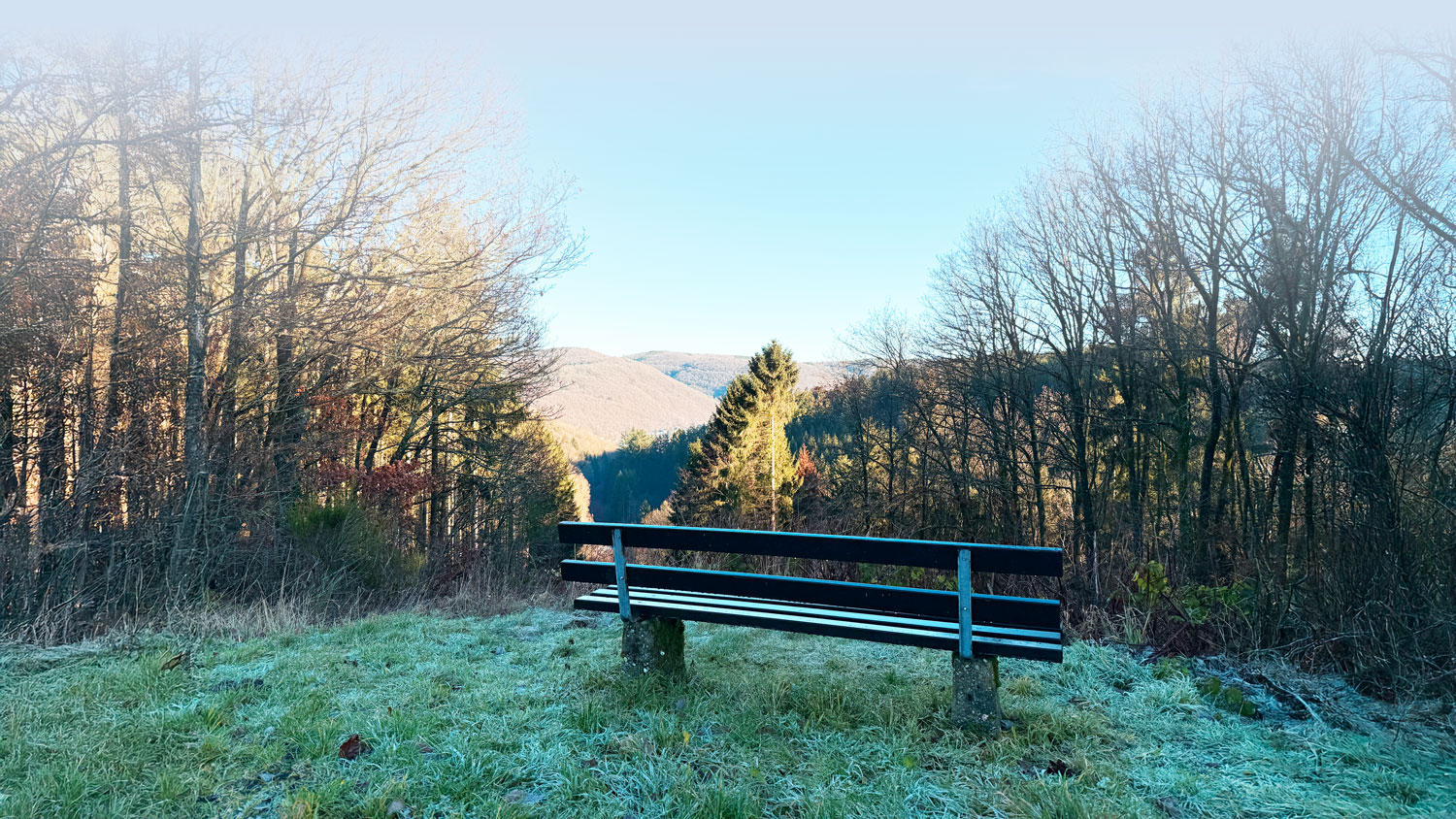 Eine Bank am Feldwegrand mit Blick auf ein bewaldetes Tal